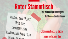 20190714 SP_RS_Klimaschutz