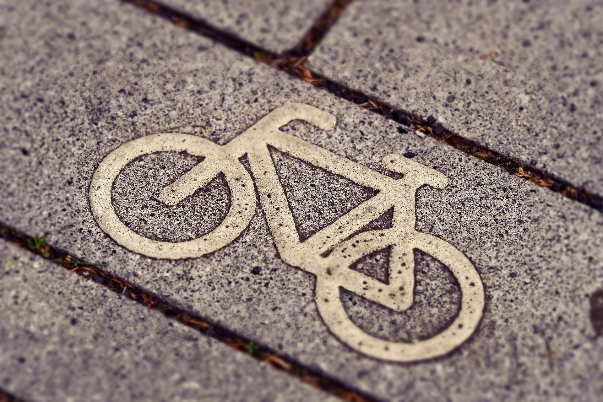 „Politik muss den Aufbruch Fahrrad wagen!“