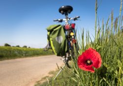 cycling-5178398_1920-1024x683