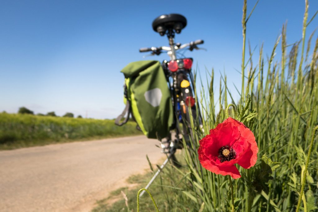 Kurze Wege zur nachhaltigen Mobilität: Zukunftsprogramm für 1000 Radwege und 1000 Ladesäulen im Kreis Wesel