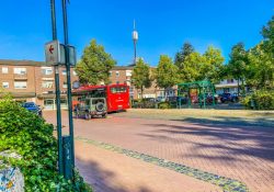 Bus