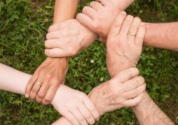 team-spirit-2447163_1920