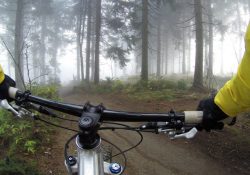 cycling-828646_1920