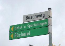 Buschweg