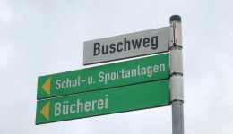 Buschweg
