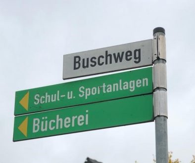 Buschweg