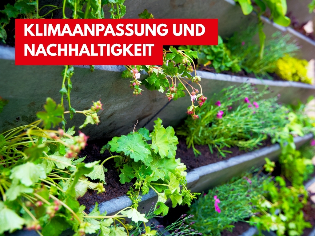 Es ist eine Fassadenbegrünung zu sehen. Darüber steht: Klimaanpassung und Nachhaltigkeit.