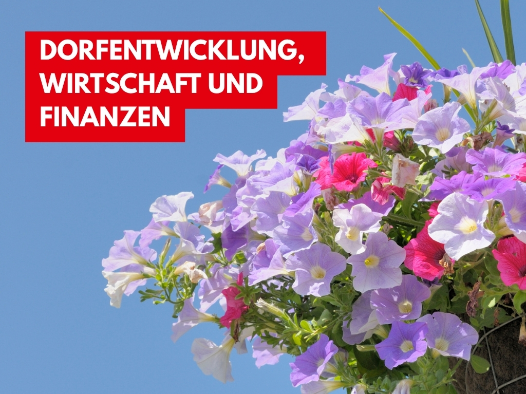 Es ist eine Blumenampel zu sehen. Darüber steht: Dorfentwicklung, Wirtschaft und Finanzen.